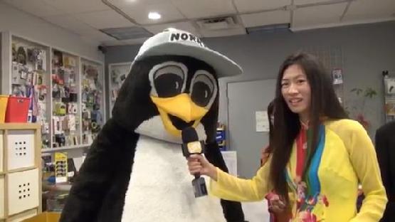 NORKY Thao Nguyen